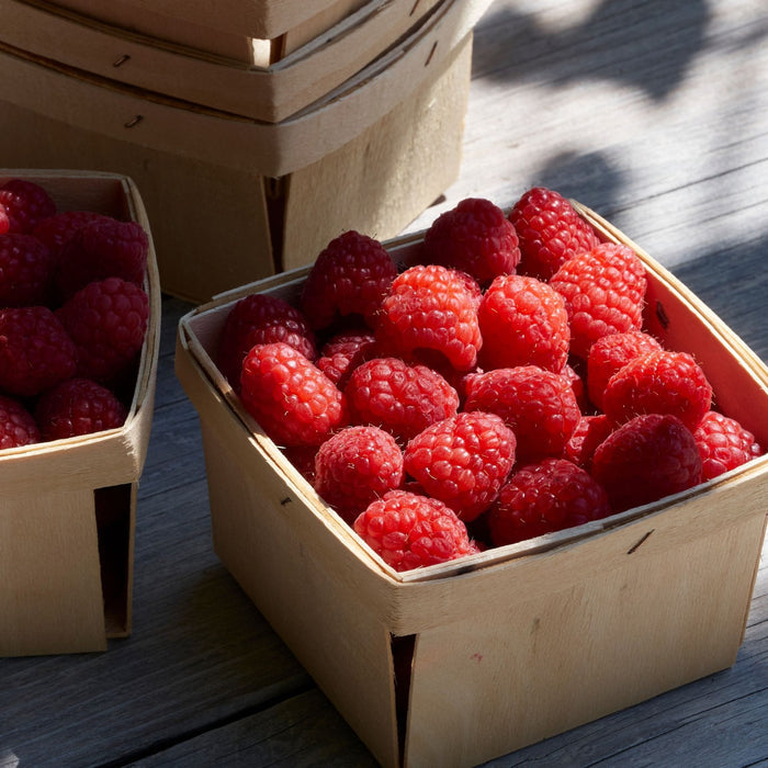 'Heritage' Raspberry Plant Soft Fruit