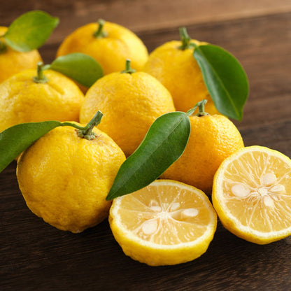 Yuzu Tree | Citrus × junos Mediterranean Fruit Trees